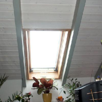 Fenster Blower Door